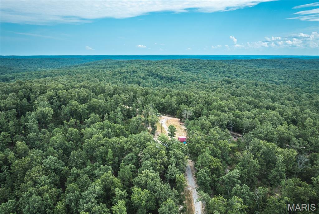 11011 Rivercrest Drive Potosi Missouri home for sale listed at $209,000