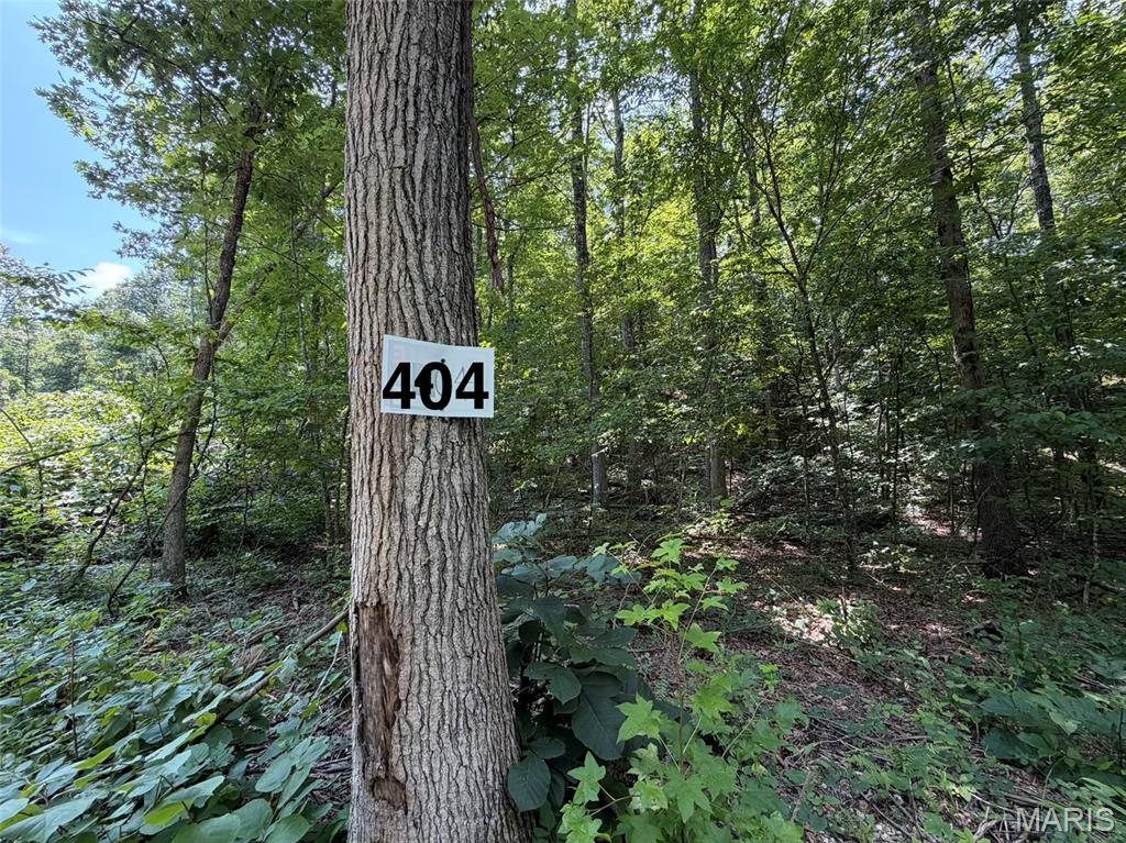 #404 Madison 410 Fredericktown Missouri home for sale listed at $33,995