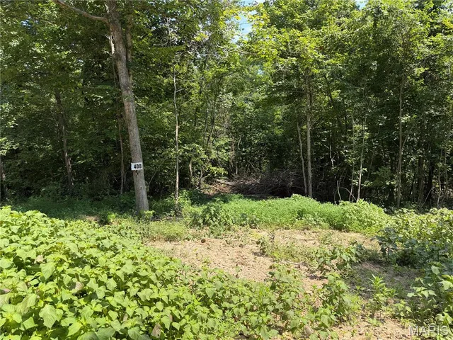 #408 Madison 410, Fredericktown MO