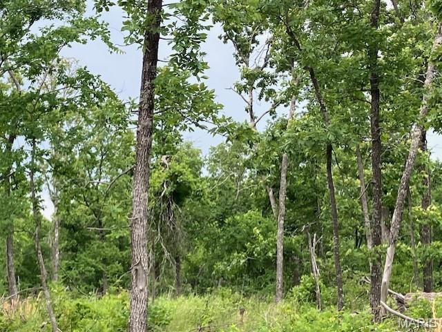 75 Madison CR 410 Fredericktown Missouri home for sale listed at $56,400