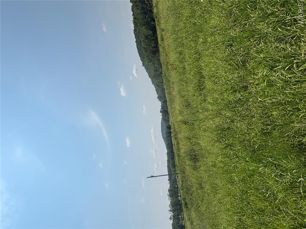 Photo 31