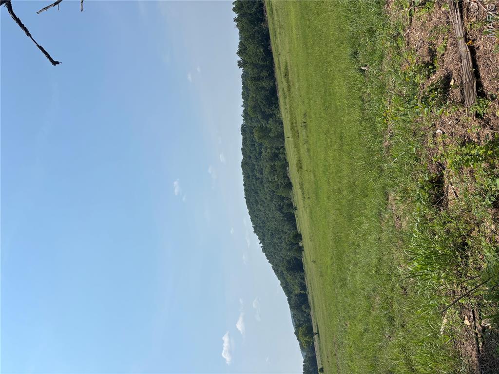 Photo 37