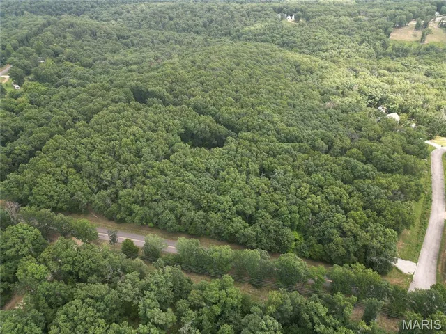 Living room — Lot 1 Heritage Woods Subdivison Steelville Missouri real estate