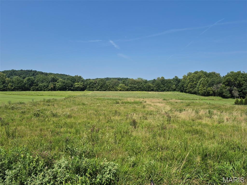 225 Valley View (Lot 29) Drive, Hawk Point MO