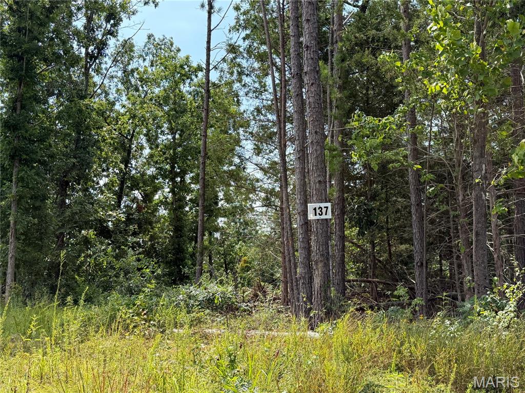 #137 Madison 410, Fredericktown MO