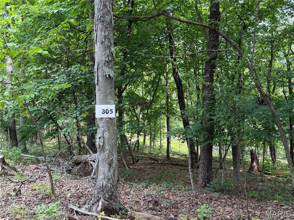 #305 Madison 410, Fredericktown MO