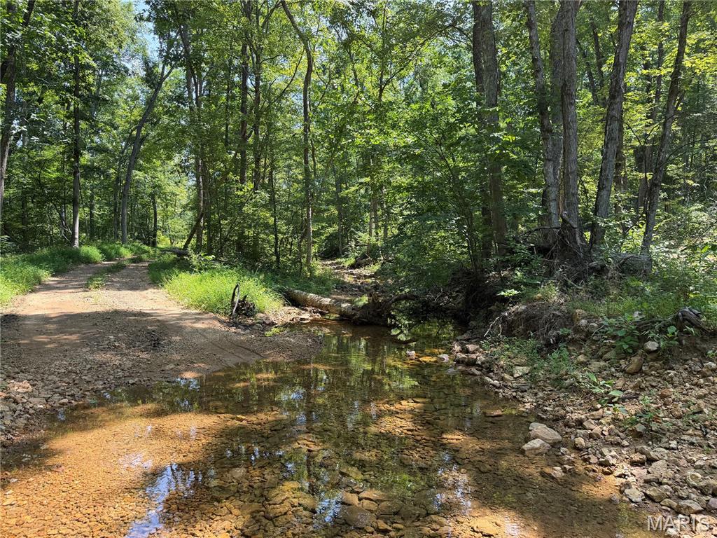 #405 Madison 410 Fredericktown Missouri home for sale listed at $65,995