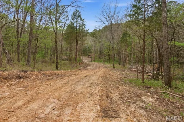 Kitchen — Tract 5 W Highway 32 Licking Missouri real estate