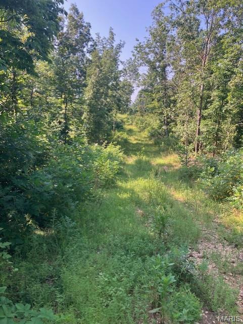 281 Madison CR 410, Fredericktown MO