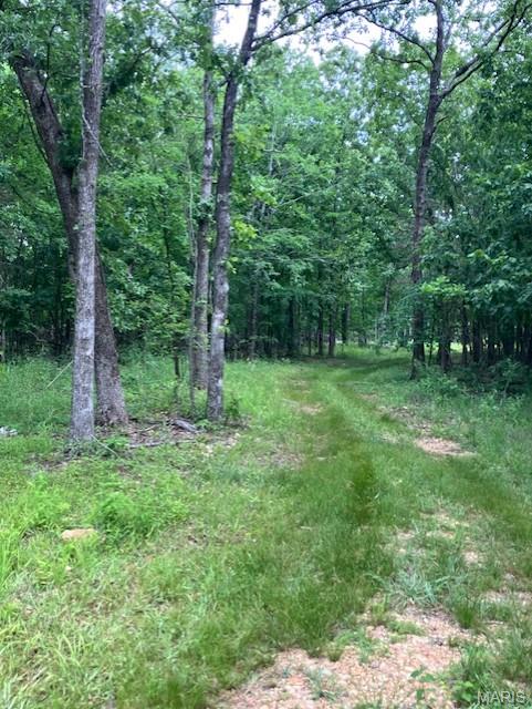 282 Madison CR 410, Fredericktown MO