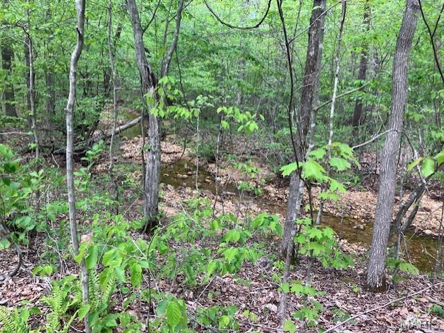 284 Madison CR 410 Fredericktown Missouri home for sale listed at $45,995