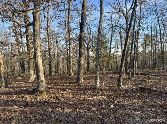 TBD Sargent Road, Other MO