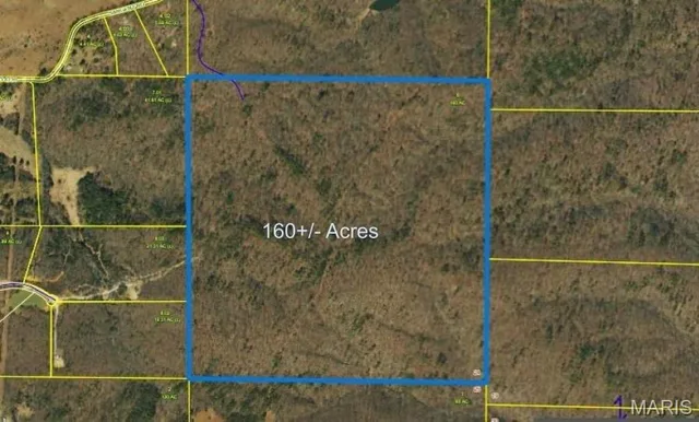 Front exterior — TBD Sargent Road Other Missouri real estate
