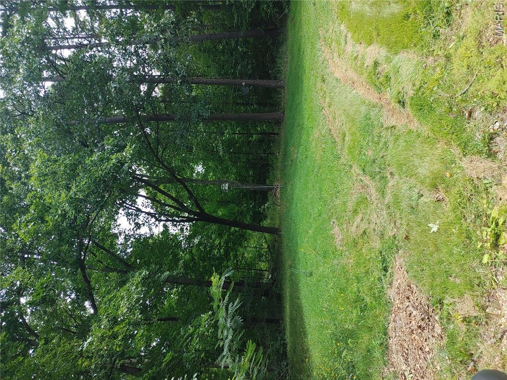 Photo 24