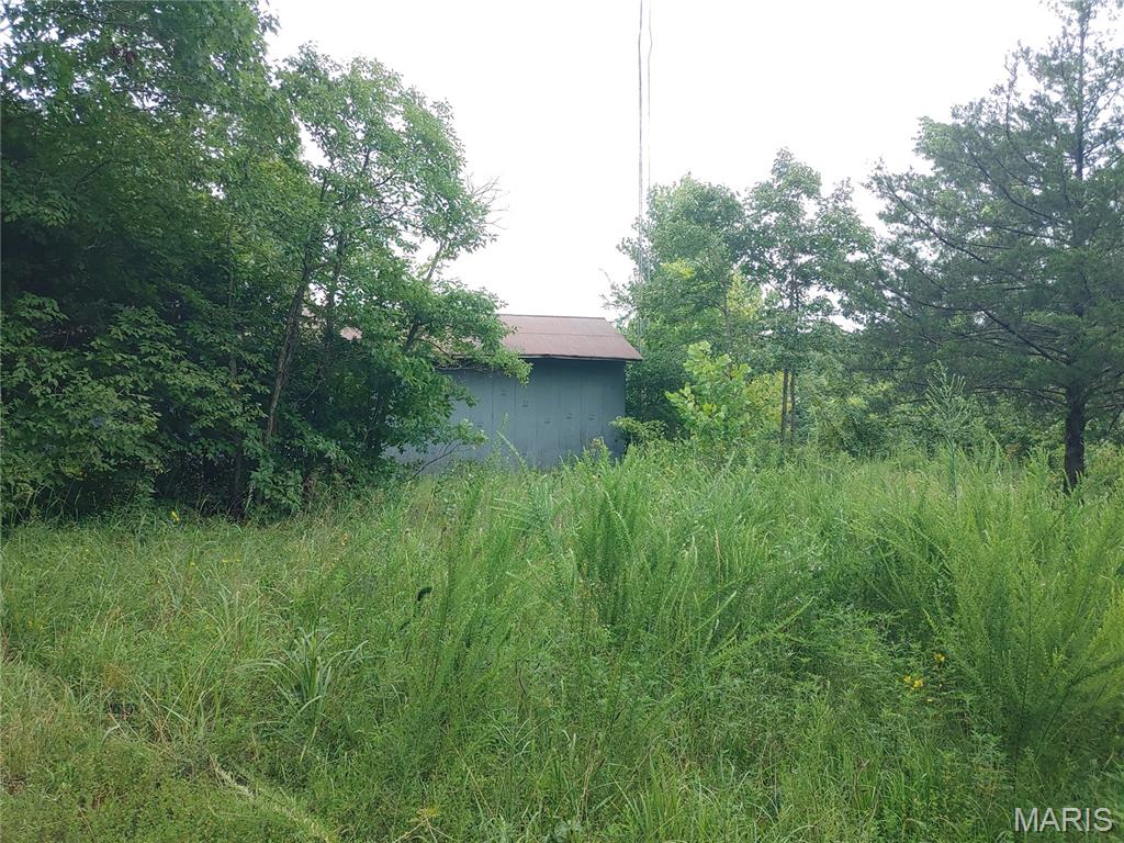 Photo 29