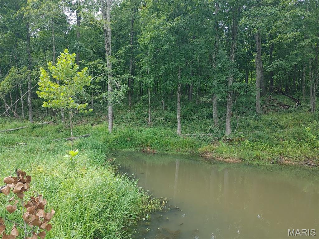 Photo 44