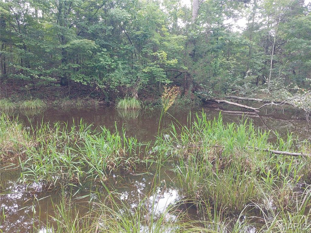 Photo 49
