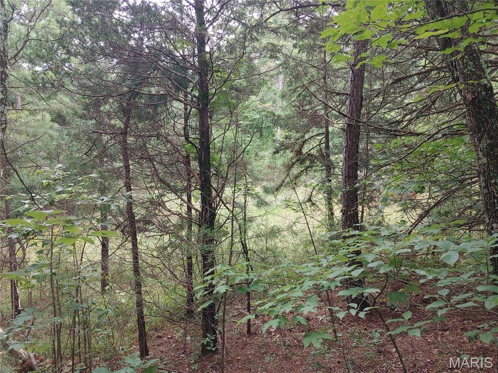 Photo 51