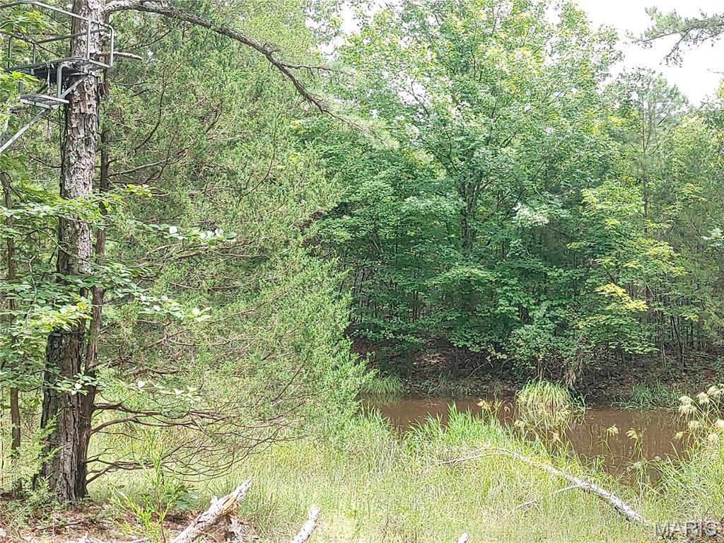 Photo 54