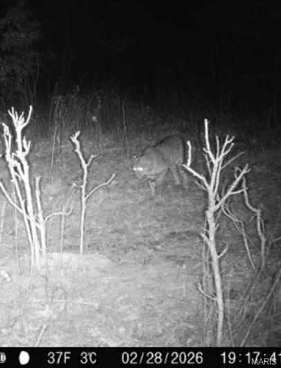 Photo 40