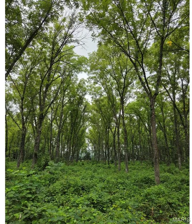Front exterior — TBD Red Oak Rd Waynesville Missouri real estate