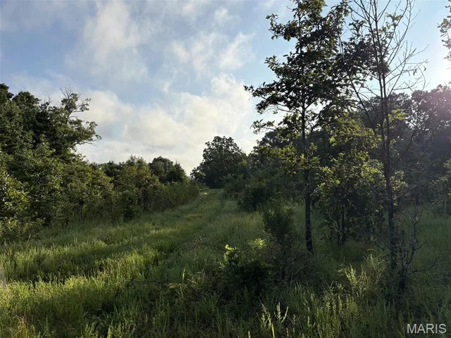 Kitchen — 245+/- Acres Hwy 185 Sullivan Missouri real estate