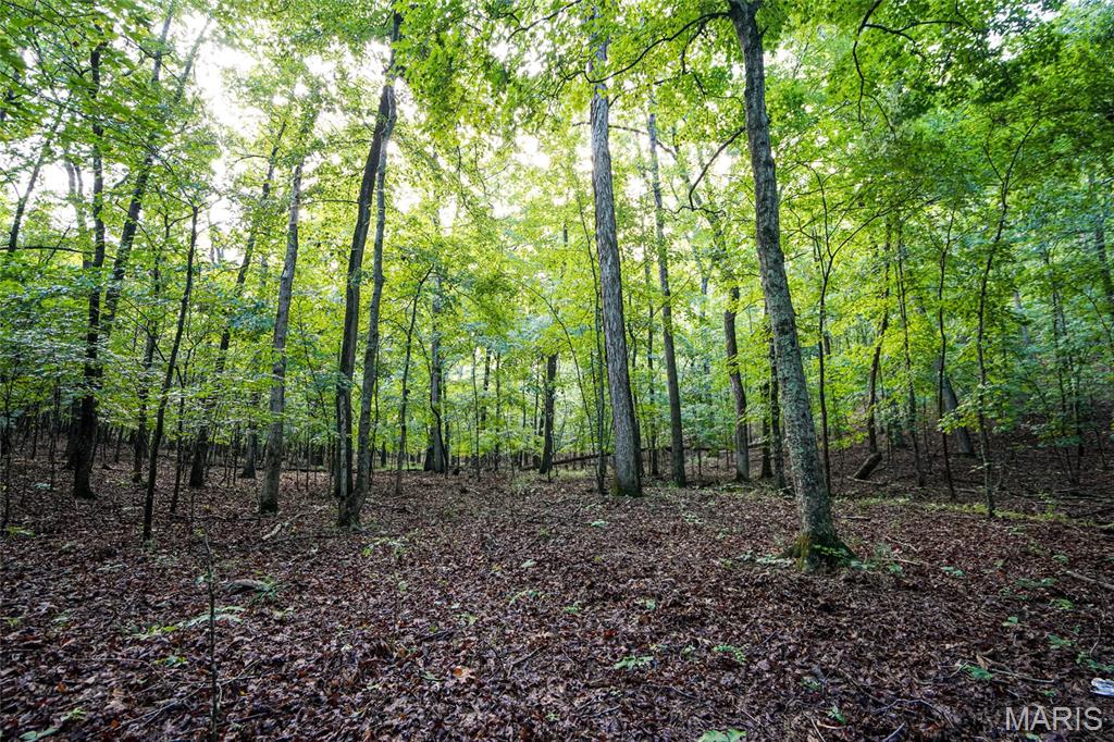 Photo 59