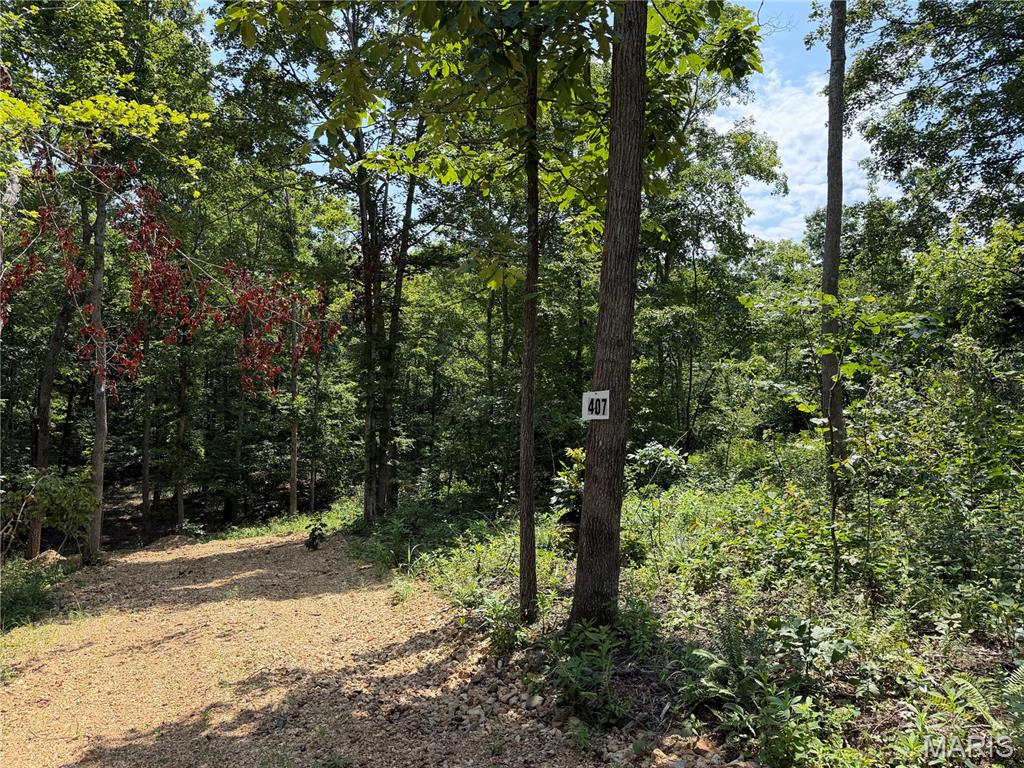#407 Madison 410, Fredericktown MO