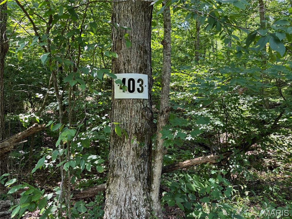 #403 Madison 410, Fredericktown MO