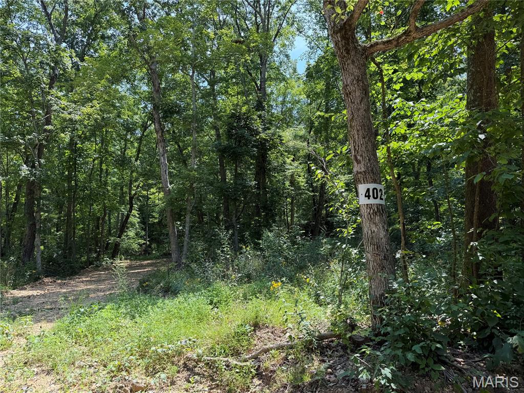 #402 Madison 410, Fredericktown MO