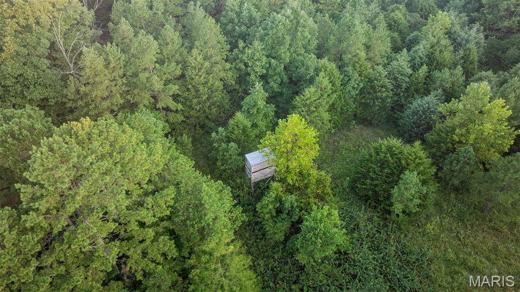 11620 Slaughter Road Licking Missouri home for sale listed at $135,000