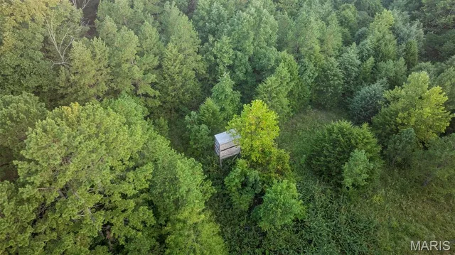 11620 Slaughter Road, Licking MO