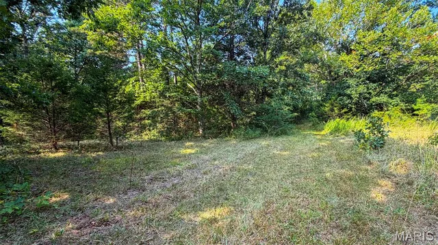 Primary bedroom — 11620 Slaughter Road Licking Missouri real estate