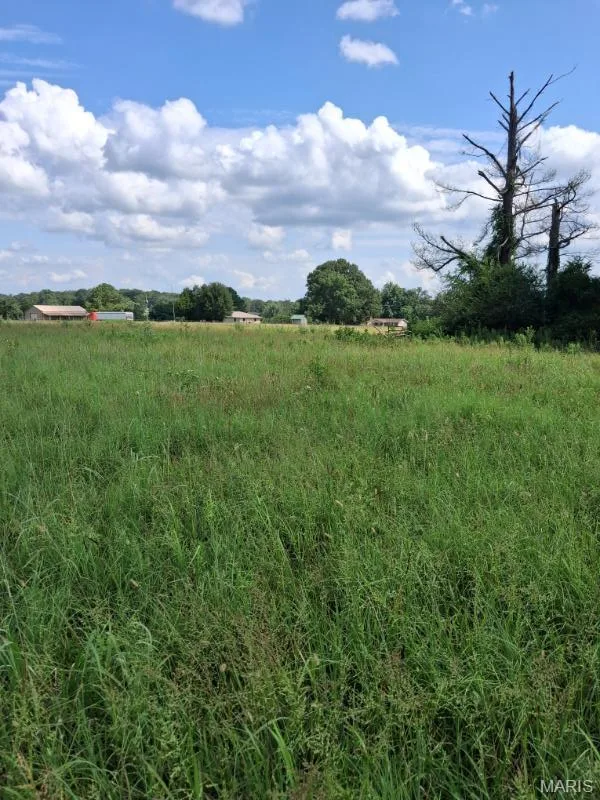 Primary bedroom — 60 Rainbow Trout Loop Doniphan Missouri real estate