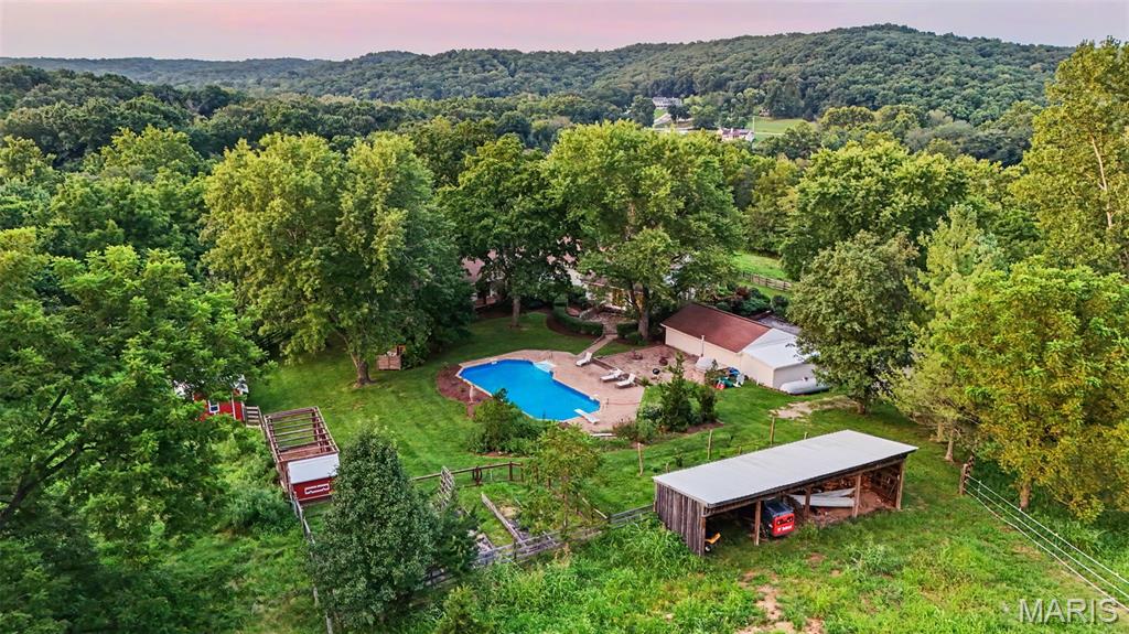 Photo 67