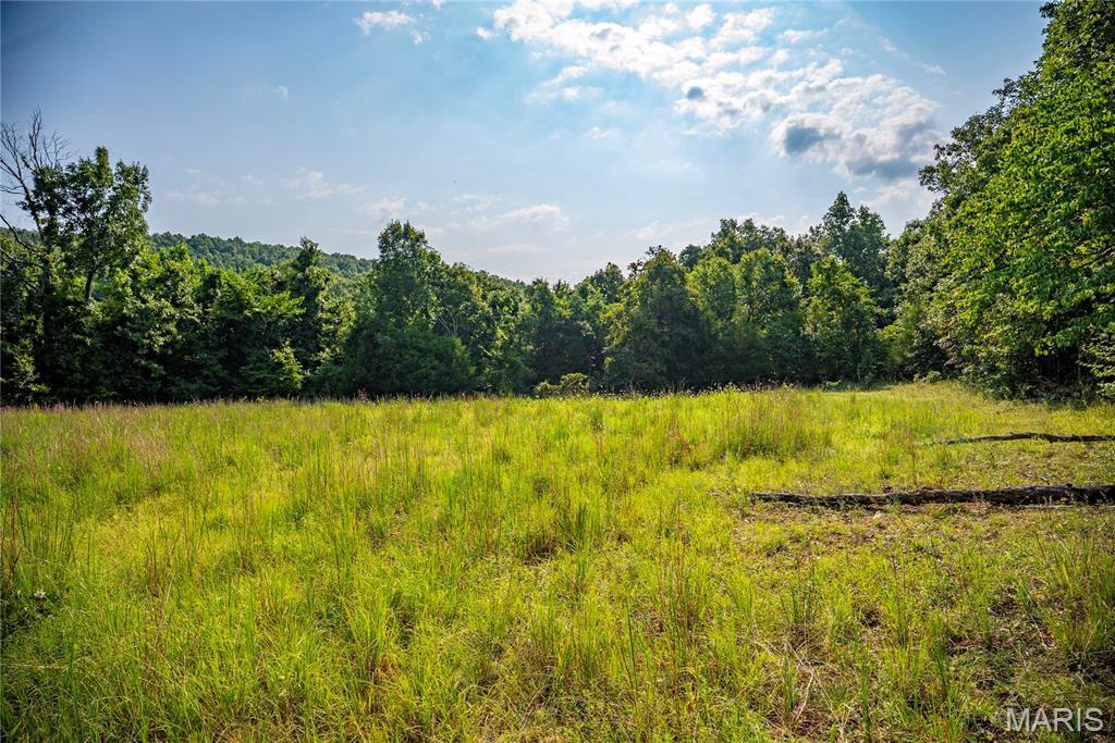 160 County Road 203, Annapolis MO