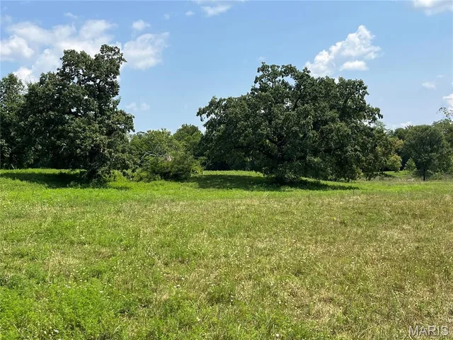 8.33 acres m/l on Hwy WW, Eolia MO