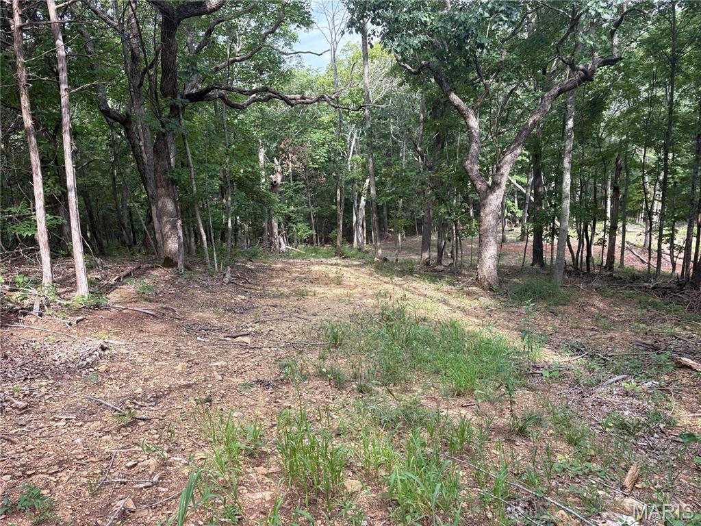 1616 Timber Bluff Trail Pacific Missouri home for sale listed at $47,000