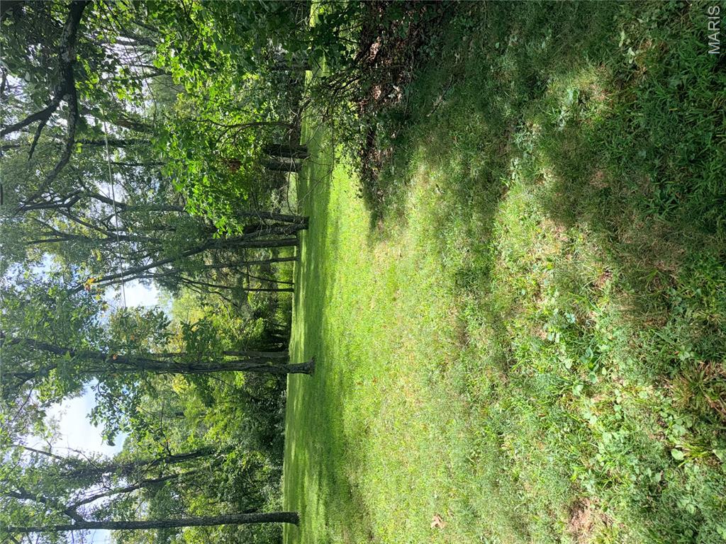 Photo 34
