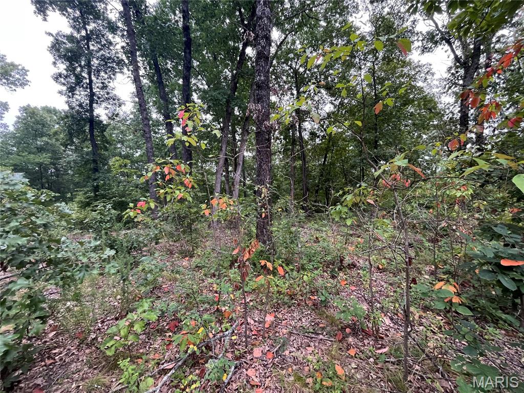 000 Partridge Climax Springs Missouri home for sale listed at $63,500