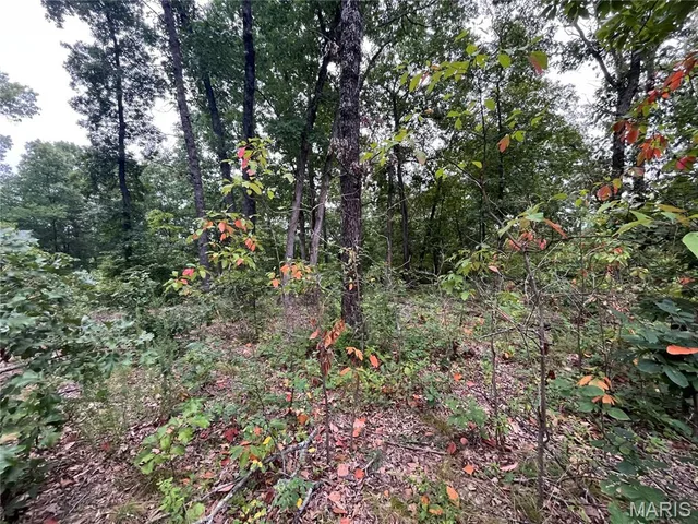 000 Partridge, Climax Springs MO