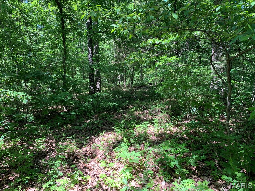 0 PCR 842, St Mary MO