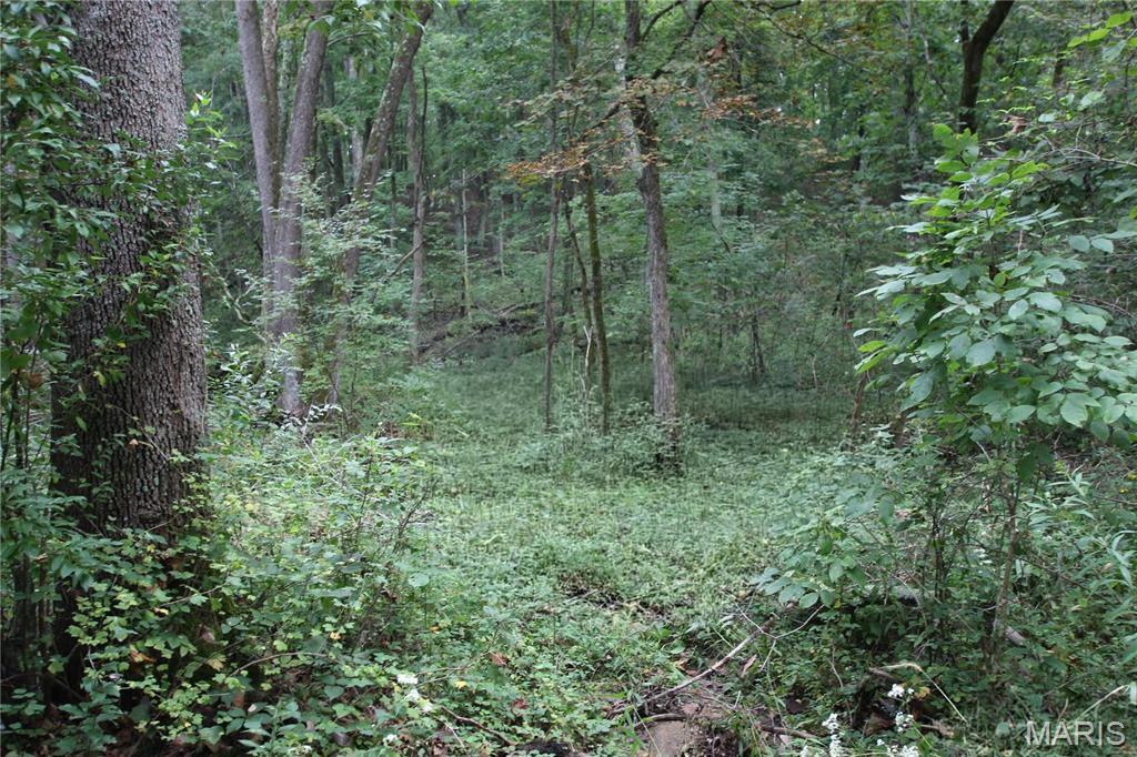 6.72 +/- Acres Pendleton Lost Creek Road, Warrenton MO