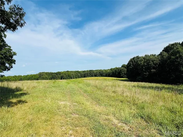 Front exterior — 0 Highway W Advance Missouri real estate