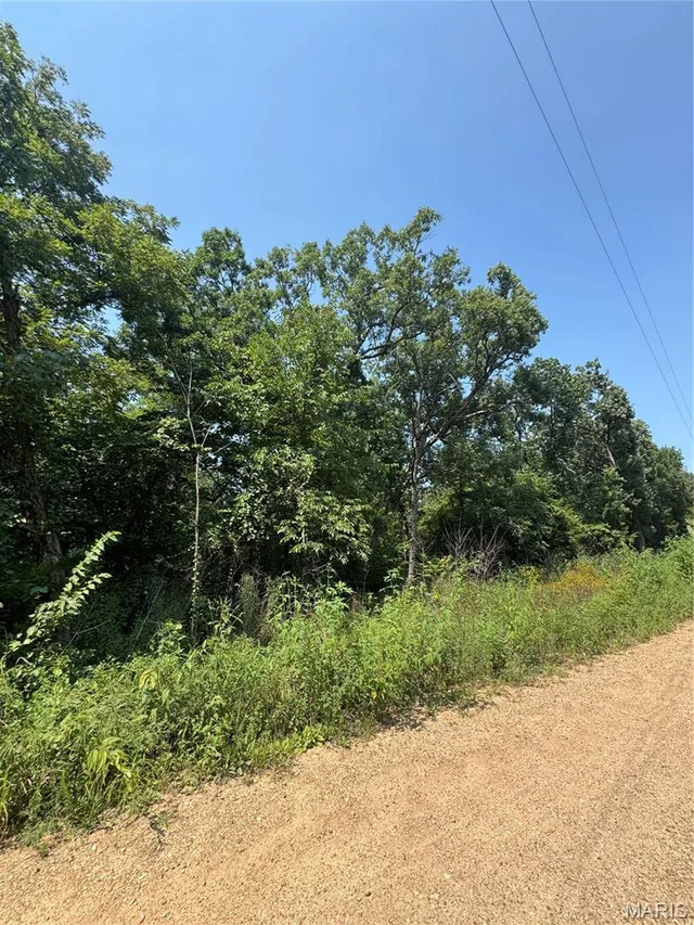 Kitchen — 24.67 +/- AC Krull Road Hermann Missouri real estate