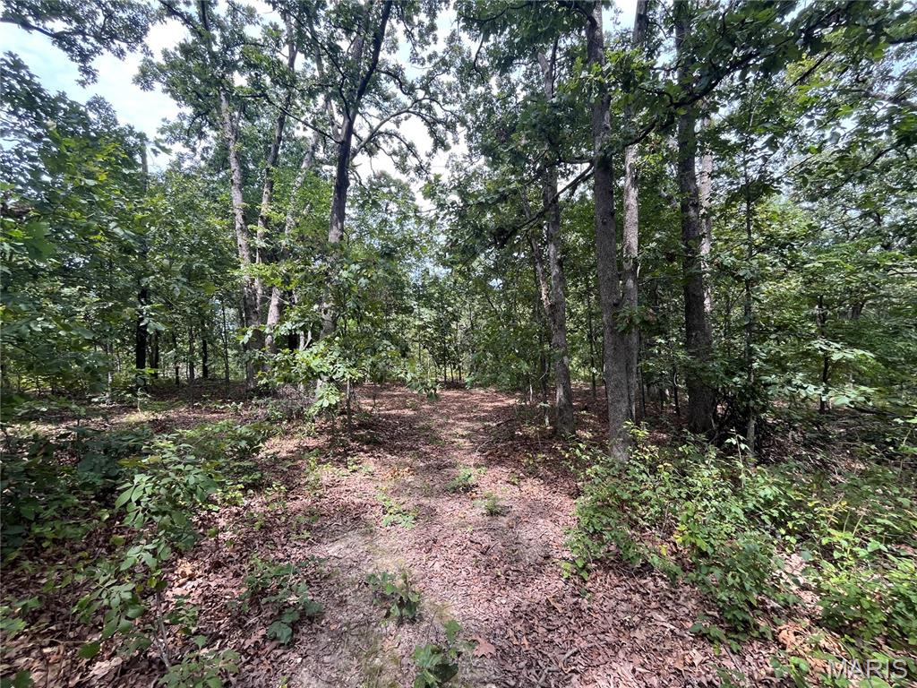 tbd Partridge Climax Springs Missouri home for sale listed at $42,000