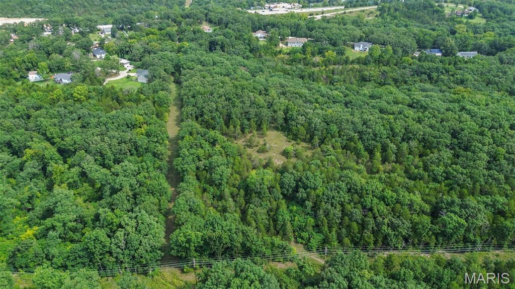 Photo 67
