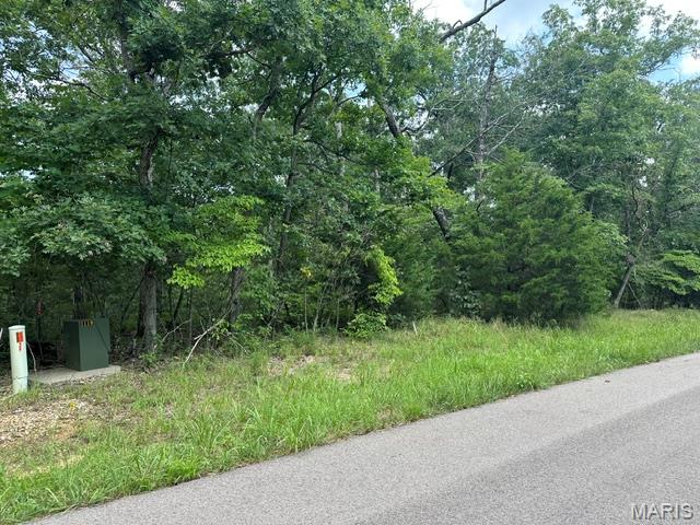 483 Buzzard Rock Road, Farmington MO