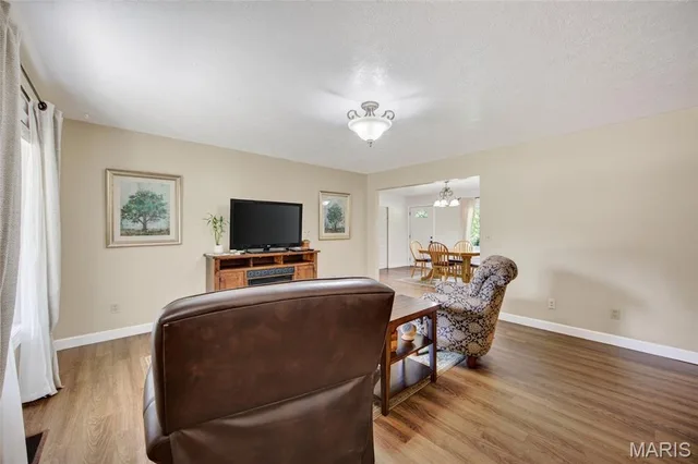 Living room — 20125 Kenyon Lane Lebanon Missouri real estate