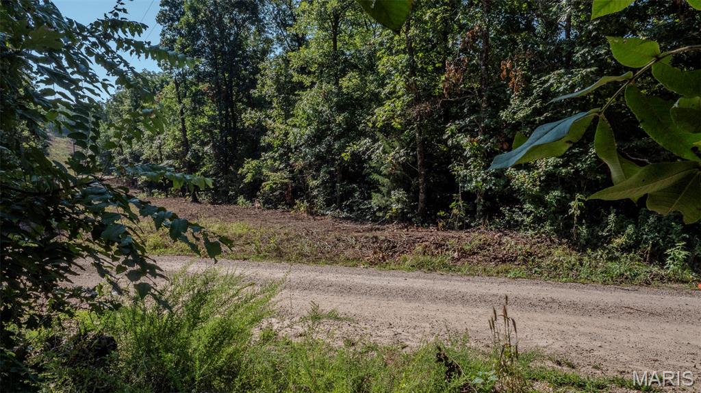 Photo 51